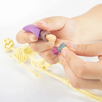 Hand holding a small purple and gray object with a white background
